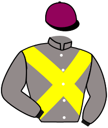 Casaque de WAYZATA MIST