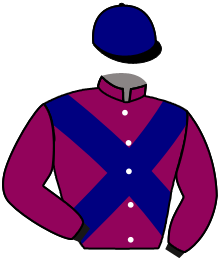 Casaque de DIRE LA VERITE