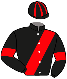 Casaque de LA MAGIE DU PERSIL