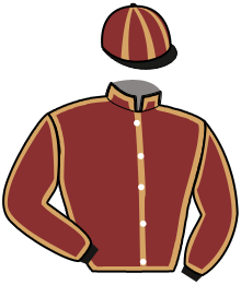 Casaque de HILLONA DE NESLE