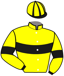 Casaque de MULAN DES HARAS