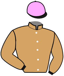 Casaque de MARCUS DU HAUTVENT