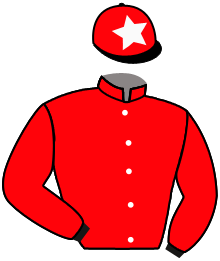 Casaque de PINK FEVER