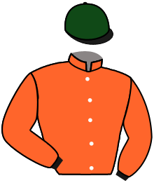 Casaque de ANGEL WARRIOR