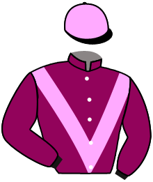 Casaque de BAILEYS ILLUSION