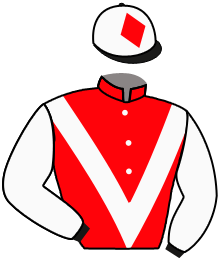 Casaque de EARL OF SHANNON