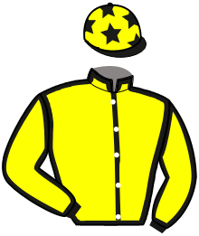 Casaque de LIAISON MESLOISE