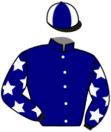 Casaque de HOLD UP DU SAPTEL