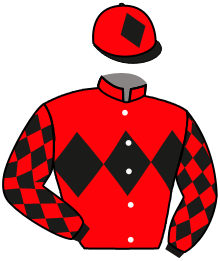 Casaque de LITOTE DU LANNIER