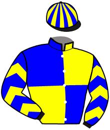 Casaque de ILIANO DES PLAINES