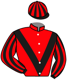 Casaque de VICTOR VITAE