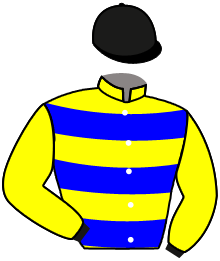 Casaque de VICTORY FIELD