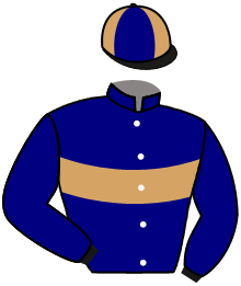 Casaque de RANCON ROYALE