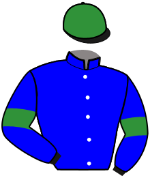 Casaque de KILL THE BLUES