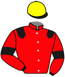 Casaque de MAGNIFICO CONTI