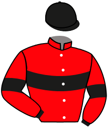 Casaque de SYDNEY SUNSET