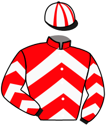 Casaque de NETFLIX MADRIK