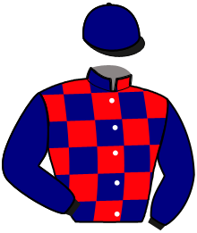 Casaque de LUCKY MIX