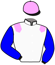 Casaque de INTELLO D'ERABLE