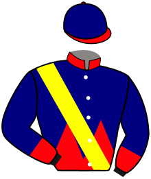 Casaque de SIGN OF STARS