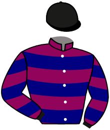 Casaque de MASTERSTROKE LADY