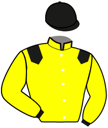 Casaque de KOALA BLUE