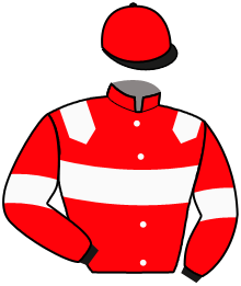 Casaque de INCOGNITO