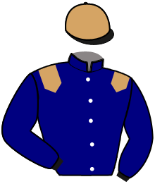 Casaque de MASCOTTE DU STADE