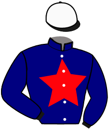 Casaque de MARY PICKFORD