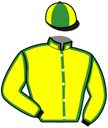 Casaque de NELSON CHARENTAIS