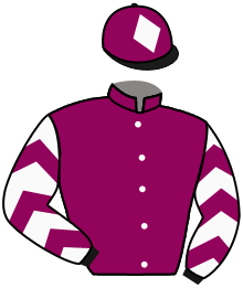 Casaque de GO JOHNNY GO GO GO