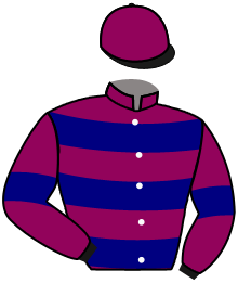 Casaque de MY BEL DU LION