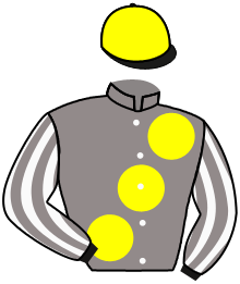 Casaque de MATCHA DE L'ISLE