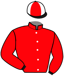 Casaque de IDEO JOSSELYN