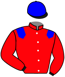 Casaque de ROI DE L'AIR