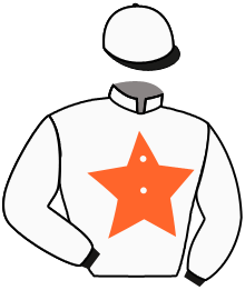 Casaque de JOHNNY DRIVE