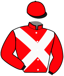 Casaque de IBIS D'AUVRECY