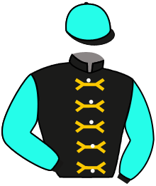 Casaque de ALPARSLAN