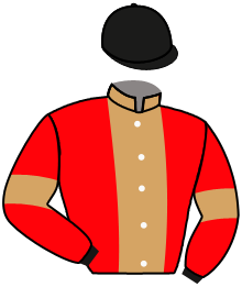 Casaque de VEULES LES ROSES