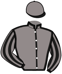 Casaque de MICKELSON