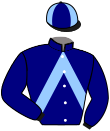 Casaque de MERIDA STAR