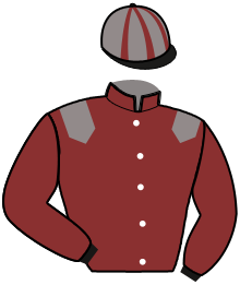 Casaque de MERCEDES DU DROPT