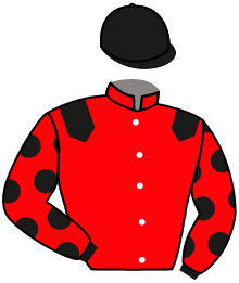 Casaque de VOGUE A L'AME