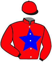 Casaque de MAESTRO DU GUIBEL