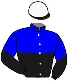 Casaque de MASTER KING