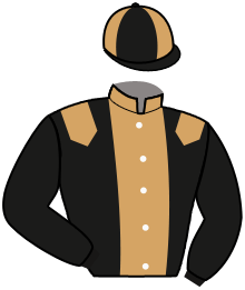 Casaque de KIWI DES MALBERAUX