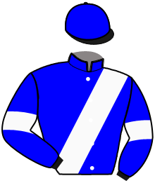 Casaque de LOS ALAMOS