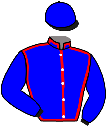 Casaque de DOMINO DU RAYNAL