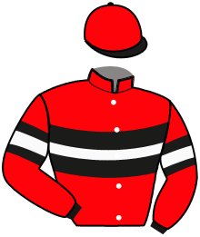 Casaque de CENTRICAL