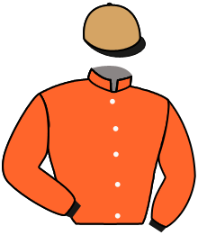 Casaque de MOON WOLF